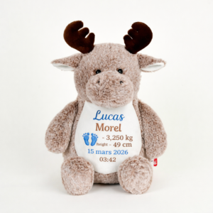 Peluche renne personnalisée avec prénom brodé et informations de naissance bébé – cadeau naissance personnalisé