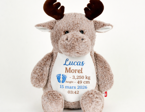 Peluche renne personnalisée avec prénom brodé et informations de naissance bébé – cadeau naissance personnalisé